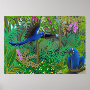 HyazintheMacaws im Dschungel-Plakat Poster