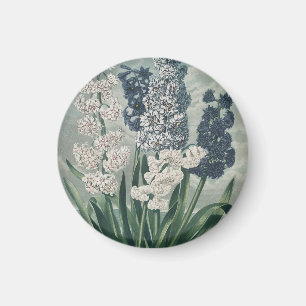 Hyazinthen (1807) – Exquisite Vintage-Botanik Magnet