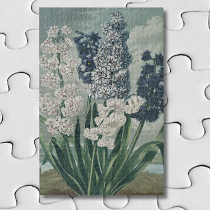 Hyazinthen (1807) – Exquisite Vintage-Botanik Puzzle