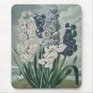 Hyazinthen (1807) - Exquisite Vintage botanische Mousepad
