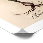 Hyazinthen Botanische Printwerbung Poster (Ecke)