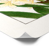 Hyazinthen, Lila Weiß- und Gelbblumen von Konan, Poster (Ecke)