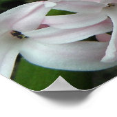 Hyazinthen Print Poster (Ecke)