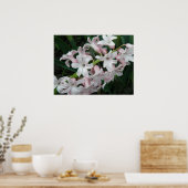 Hyazinthen Print Poster (Küche)