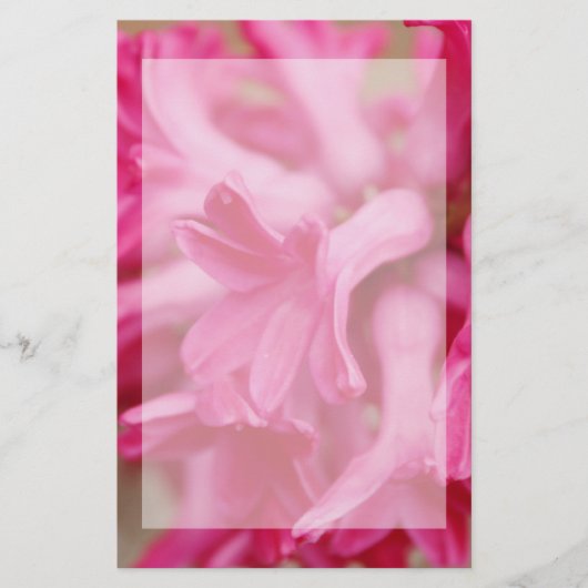 Hyazinthen-rosa Briefpapier (Vorderseite)