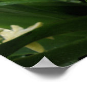 Hyazinthen und Regentropfen drucken Poster (Ecke)