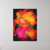 Hybrid Cattleya Orchid Canvas Print Leinwanddruck (Vorderseite)