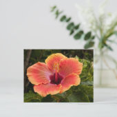 Hybrid-Hibiskus Postkarte (Stehend Vorderseite)
