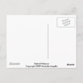 Hybrid-Hibiskus Postkarte (Rückseite)