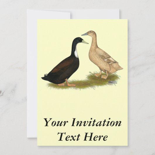 Hybrid Lay Duck Einladung (Vorderseite)