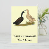 Hybrid Lay Duck Einladung (Stehend Vorderseite)
