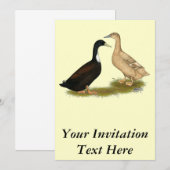 Hybrid Lay Duck Einladung (Vorne/Hinten)