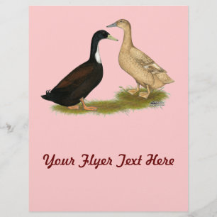 Hybrid Lay Duck Flyer