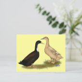 Hybrid Lay Duck Postkarte (Stehend Vorderseite)