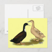 Hybrid Lay Duck Postkarte (Vorne/Hinten)