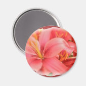 Hybrid-Lilien-Koordinationselemente Magnet (Vorderseite/Rückseite)