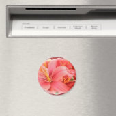 Hybrid-Lilien-Koordinationselemente Magnet (In Situ (Geschirrspüler))