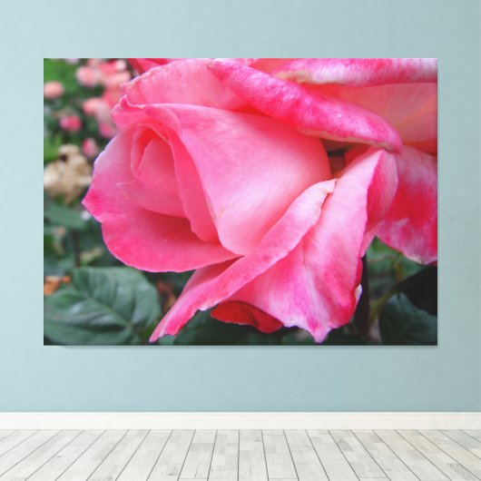 Hybrid Tea Rose Barbara Bush auf Leinwand (Insitu (Holzboden))