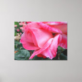 Hybrid Tea Rose Barbara Bush auf Leinwand (Vorderseite)