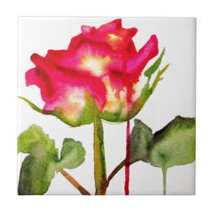 Hybrid Tee Rose Aquarell Moderne Blume Kunst Fliese