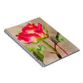 Hybrid Tee Rose Aquarell Moderne Blume Kunst Notizblock (Rechte Seite)