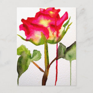 Hybrid Tee Rose Aquarell Moderne Blume Kunst Postkarte
