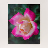Hybrid Tee Rose Jigsaw Puzzle (Vertikal)