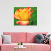 Hybrid Tee Rose Rio Samba auf Leinwand (Insitu (Wohnzimmer))
