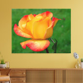 Hybrid Tee Rose Rio Samba auf Leinwand (Insitu (Wohnzimmer))