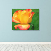 Hybrid Tee Rose Rio Samba auf Leinwand (Insitu (Holzboden))