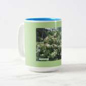 Hybride Honeysuckle Blooms Zweifarbige Tasse (Vorderseite Links)