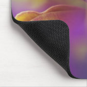 Hybride Orchidee, Florida 2 Mousepad (Ecke)