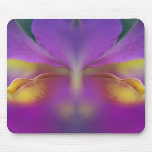 Hybride Orchidee, Florida 2 Mousepad (Vorne)