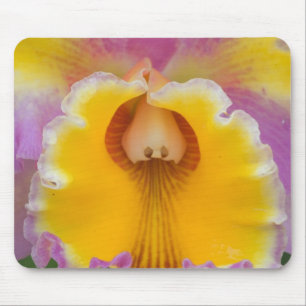 Hybride Orchidee, Florida Mousepad
