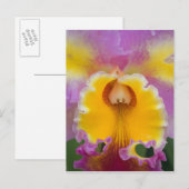 Hybride Orchidee, Florida Postkarte (Vorne/Hinten)
