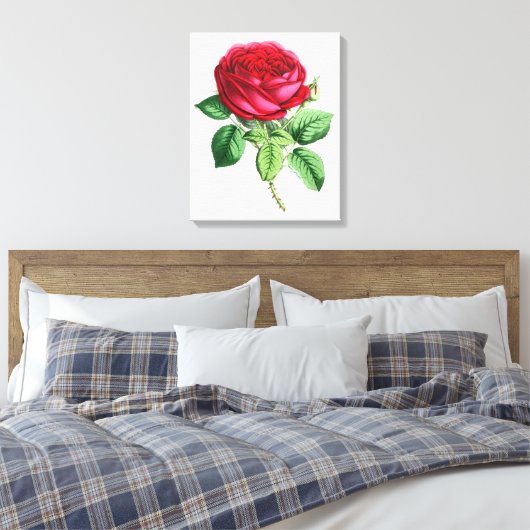 Hybride Perpetual Rose - Napoleon III Leinwanddruck (Insitu (Schlafzimmer))