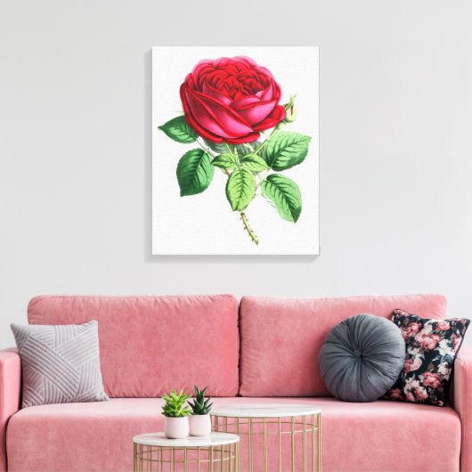 Hybride Perpetual Rose - Napoleon III Leinwanddruck (Insitu (Wohnzimmer))