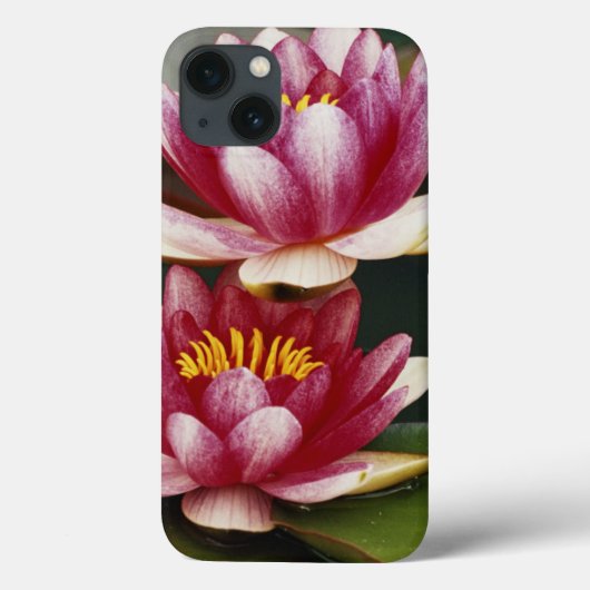 Hybride Seerosen Case-Mate iPhone Hülle (Rückseite)