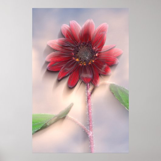 Hybride Sonnenblume bläst im Wind Poster (Vorne)