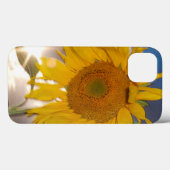 Hybride Sonnenblume bläst in der Dämmerung Case-Mate iPhone Hülle (Rückseite (Horizontal))