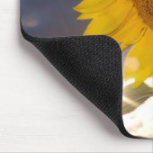 Hybride Sonnenblume bläst in der Dämmerung Mousepad (Ecke)