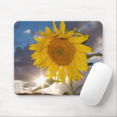 Hybride Sonnenblume bläst in der Dämmerung Mousepad (Mit Mouse)