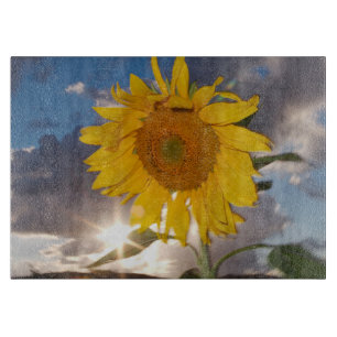 Hybride Sonnenblume, die in der Dämmerung im Wind Schneidebrett