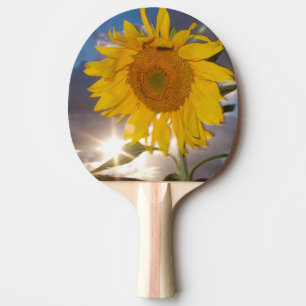 Hybride Sonnenblume, die in der Dämmerung im Wind Tischtennis Schläger