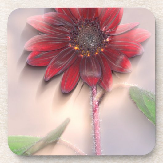 Hybride Sonnenblume im Wind Untersetzer (Vorderseite)