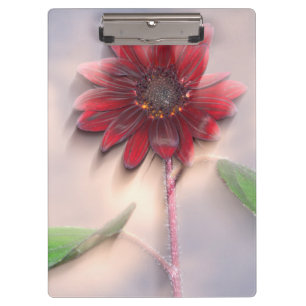 Hybride Sonnenblume im Wind wehend Klemmbrett