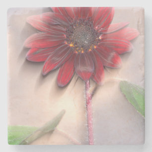 Hybride-Sonnenblume im Wind wehend Steinuntersetzer