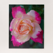 Hybride Tee Rose Circus Knie Jigsaw Puzzle (Vertikal)