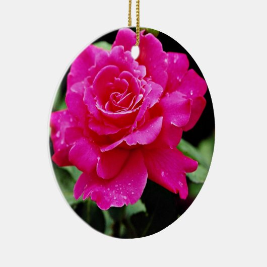 Hybride Tee-Rosen-"Rosa-Friedens" weiße Blumen Keramik Ornament (Rechts)