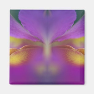 Hybridorchid, Florida 2 Magnet